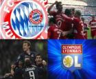 Лига чемпионов УЕФА 2009-10 полуфинал, FC Bayern München - &quot;Лион&quot;